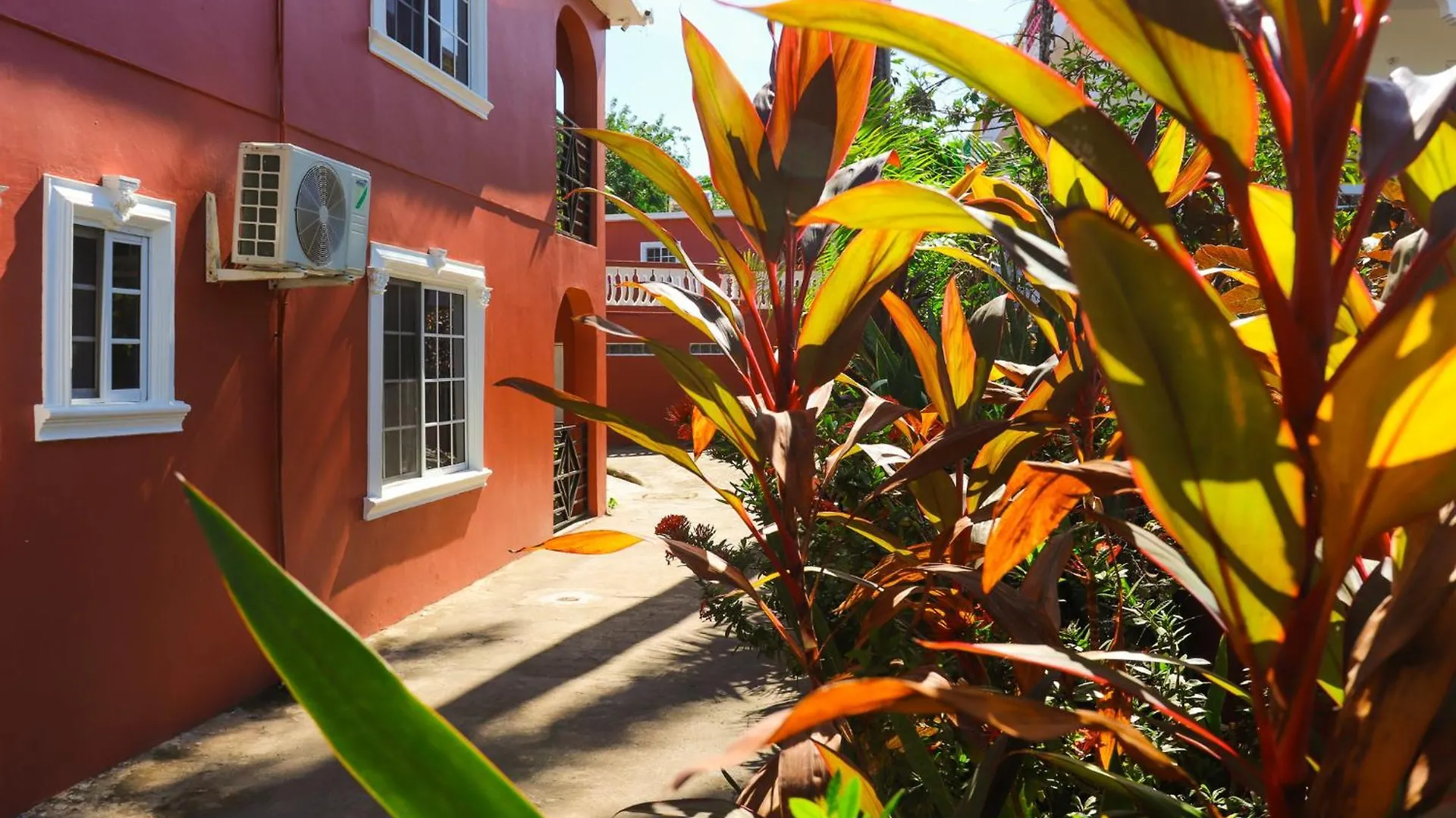 Paradise On The Rocks Hotel Negril 3*,  Jamajka