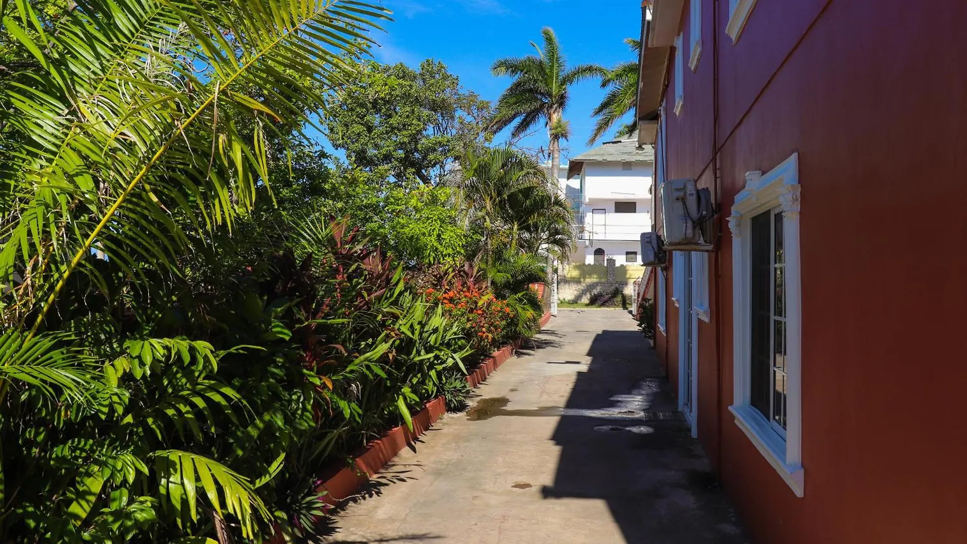 Paradise On The Rocks Hotel Negril